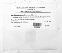 Elsinoe veneta image